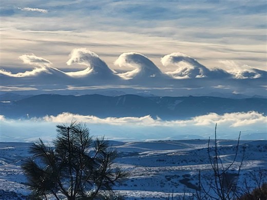 'Crown jewel': Rare wave clouds amaze sky-watchers in the US. Take a look!