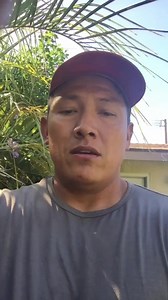 (1)(1)#garden #gardening #flowers #nature #plants #flower #photography #naturephotography #gardendesign #green #love #gardenlife #summer | Alducin3 | Facebook