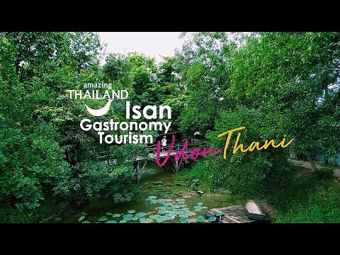 🇹🇭 UDON THANI - Thailand's Gastronomy City 😋 🥘🍲🥬 🍽️