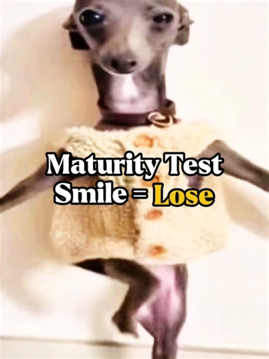 Which Level Made You Lose? No Smile Challenge Levels Explained