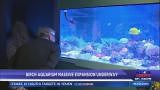 Birch Aquarium reopens with new exhibits; Living Seas coming soon