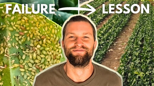 Building an $85K farm – my biggest failures and lessons learned