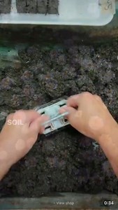 11K views · 352 reactions | Course SALE! Comment COURSE for the link 15% off all schools and workshops — even the seed starting course! IT IS NOT TO LATE TO START SEEDS!!! Friend we are JUST getting started with warm-season annuals. Learn how to start seeds using soil blocking! “Seed Starting Made Easy” #gardenersworkshopfarm | The Gardener's Workshop | Facebook