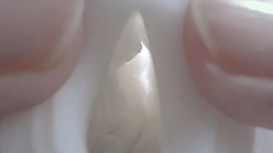 Watch TENGA GEO Video on Amazon Live