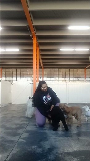 Ms. Molly hanging with smalls! #dogs #waterdog #puppies