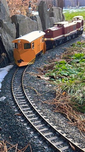 zwei Harzkamele Br199 rollen mit HSB Schneepflug auf der Selketalbahn Gartenbahn SpurG LGB PIKO