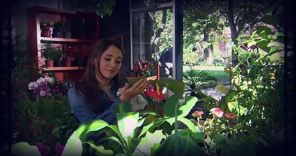 AMORES VERDADEROS CAPITULO 140