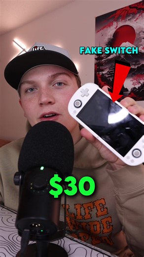 $30 vs $300 Nintendo Switch #technology #switch #gaming #console