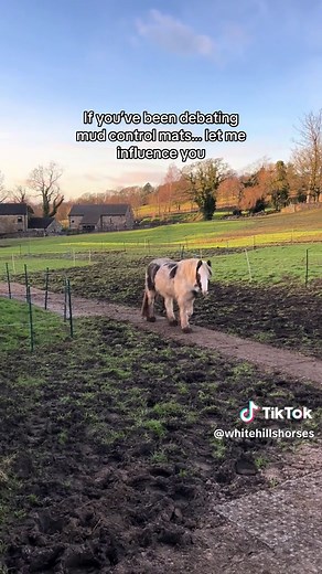 Effective Mud Control Mats for Horse Paddocks