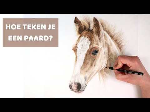How to draw A HORSE (coloured pencil tutorial)