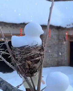 84K views · 2.2K reactions | ❄️ Let the snow games begin! ⛄️$8.96 with free shipping! 閭Shop Now:https://dhgate.onelink.me/Hwh7/1y8hfgdj DHgate selected collection：https://t.ly/VKvK #style #story #storytelling #reelsfb #reels #reelsinstagram #winter #WinterFun #winterwonderland #wintercollection #winteroutfit #snow #snowman #snowday #snowboard #snowboarding | DHgate | Facebook