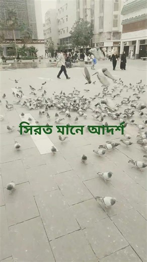 নবীর একটা আদর্শ #islamicstatus #shortvideo #shorts