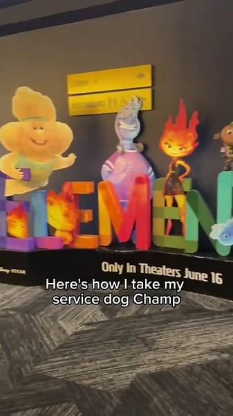 how i take my service dog to the movie theater! #Disabled #Disability #Education #ServiceDog #ServiceDogs #BlackLab #BlackLabs #BlackLabsOfInstagram #ServiceDogsOfInstagram #Assistance #MobilityAid #Shoes #DogShoes #Mobility #Accessibility #Activism #Ableism #Movies #Viral | Cassidy Huff
