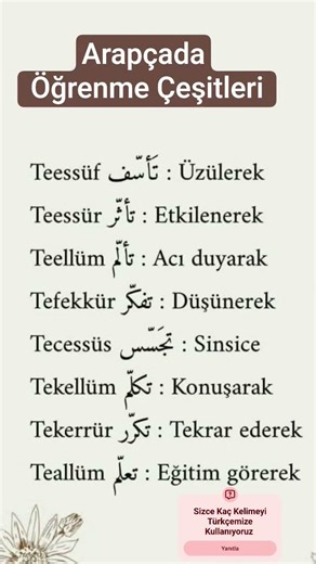 🌱Arapçada Öğrenme Çeşitleri 📚#arabiclanguage #arapçagramer
