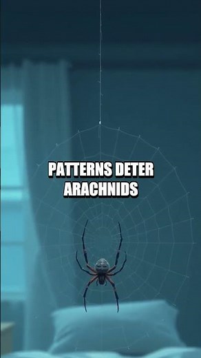 Spiders in Sleep Myth Busted: A Fresh Look At Nighttime Fear
