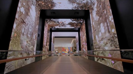 Q-SYS Case Study: Microsoft Experience Center One | Audiologic