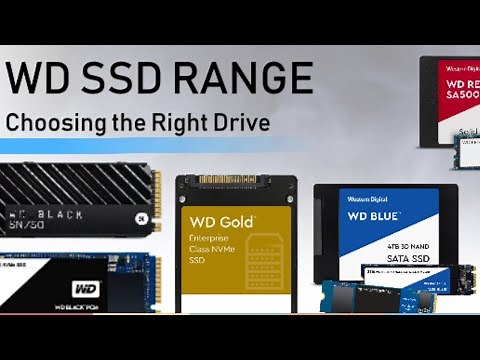 WD SSD Range Guide - Blue Red Black Green Gold