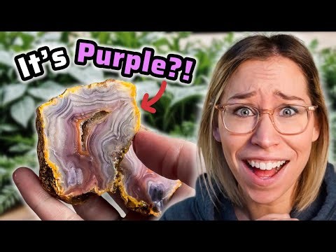 I Found a HUGE SURPRISE Cutting Open These Agates!