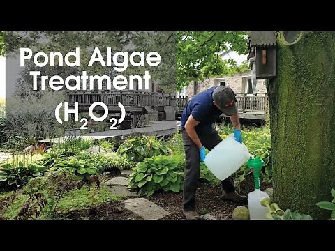 Quiet Nature - Pond Algae Treatment (Hydrogen Peroxide)
