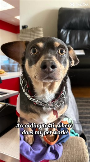 I couldn’t resist trying this! And whaddya know? KFC just happens to be a family favorite in our house! #glossectomy #tonguecancer #tubie #adoptdontshop #fypシ
