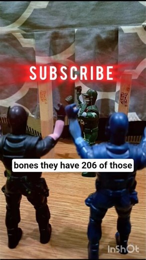 Break their bones