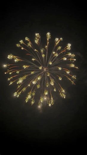 11K views · 300 reactions | 5 inch #displayshells | 烟花 | Facebook