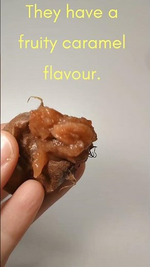 Medlar fruit