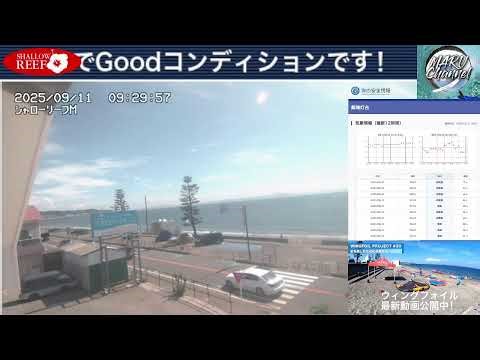 【ライブカメラ配信】津久井浜海岸 三浦海岸 風情報 Yokosuka-Miura Beach Live 2025/9/11 JUBF National Team 2025 関東NT練習会 Day2