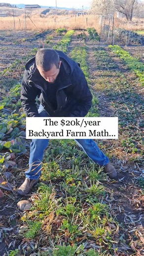 Zach Buchel : Vegetable Gardening Farming | Most people have no idea how much money is hiding in their backyard… But once you see the math? You can’t unsee it. And you’ll never... | Instagram
