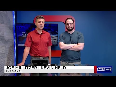 Gateway Arch Goes Dark, The Sphere Goes to Oz, and “False Fall” in St. Louis | The Signal