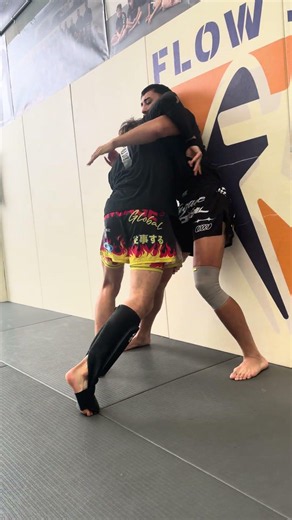 High Level MMA Wall Work & Scrambles