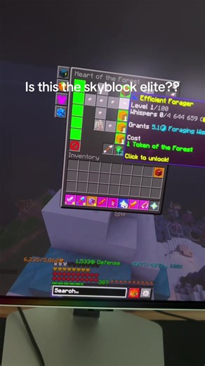 Exploring Levelmaxxing in Hypixel Skyblock
