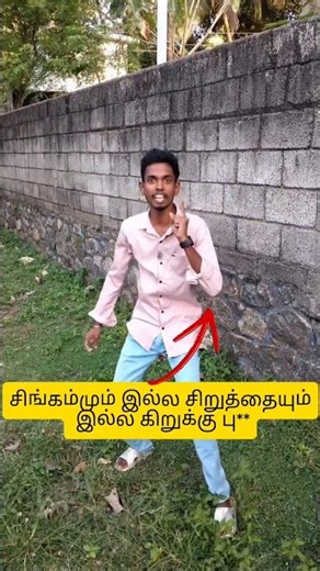 💥🤣 இவன் தொல்ல தாங்க முடியல! 😂 | Comment Section Troll #comedy #funny #tamilmemes #trollers