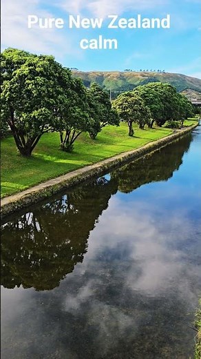 Porirua's Hidden Scenic Stream #nature #travel #vlogs #newzealand #sea #water #views