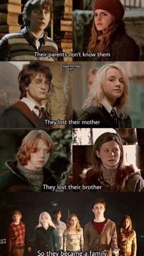 The Family We Choose#harrypotter