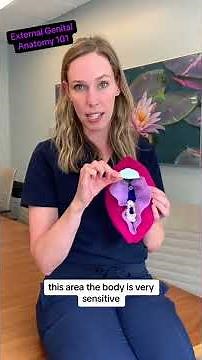 Vagina vs Vulva … 🤷🏼‍♀️ what’s what? Let’s learn about external genital anatomy