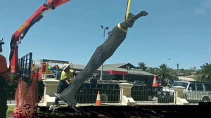 16K views · 50 reactions | It took around 30 minutes for April Pine's massive sculpture to be installed outside the Geraldton Regional Art Gallery this afternoon. Gallery staff have already nicknamed the $80,000 sculpture GRAGory. The towering sculpture will be painted tomorrow. For more local news visit www.geraldtonguardian.com.au. | Geraldton Guardian | Facebook
