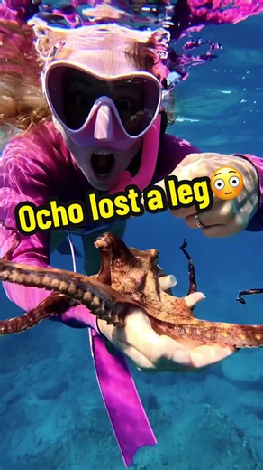 Amazing Octopus Facts You Didn't Know About