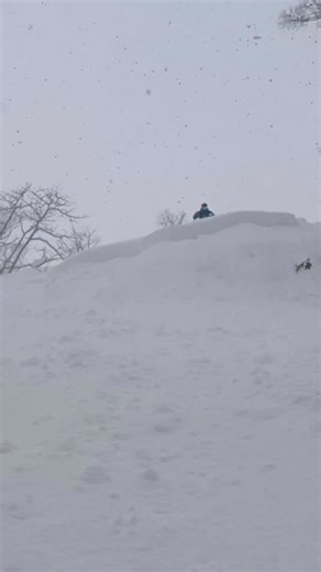 Chris Davenport on Instagram: "Another epic snow day in the Niseko backcountry. Happy clients and an amazing snow cycle ❄️❄️ @opensnow @dpsskis @norrona @atkbindings @scarpa_world @scarpana @aniiu_gloves @outerugear"