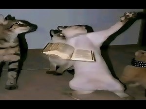 Southern 1102 Showcase