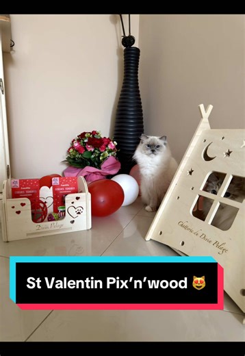 À la chatterie on a pratiquement toute la gamme @pix'N'Wood 🤭 De la caisse de mise bas, au parc chaton, à la cabane, aux jeux et j’en passe 😋 C’est le moment de faire plaisir à ton loulou avec cette offre 😻 Petit rappel de mon code promo : PELAGE10 ❤️ Et joyeuse Saint Valentin à tous 😻 #saintvalentin #chat #amour #ragdoll