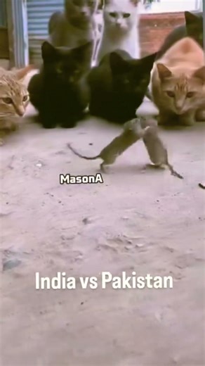 #funny #comedy #trendingshorts #sarbebhabantusukhinah #viralvideo