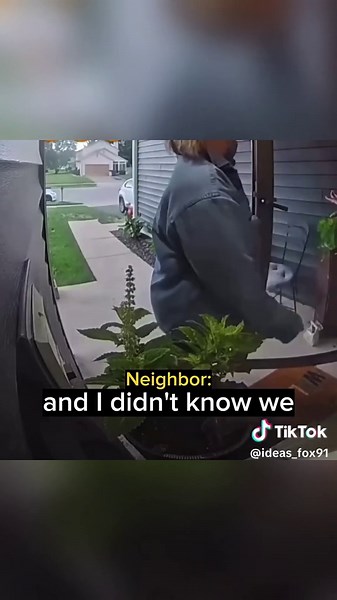 Neighbor Complaint: Dog Barking On and Off Since 4:00