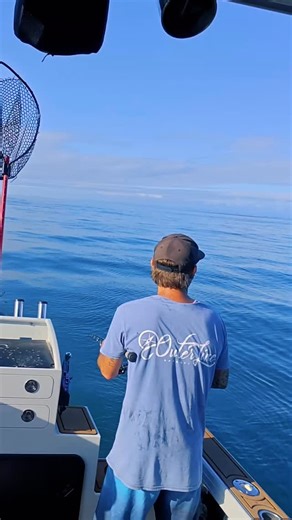 This is why the legends @hot_tackle are the best, I’ve chased these Big blue beasts for years now, always using an Overhead reel, I’ve experimented with Rod stiffness because a rod that’s to soft will allow the fish to turn and use that Big tail to drive you back to the reef, a rod to stiff will put to much pressure on all your Terminal tackle and the fish, and something will give. I spoke with Timmy at Hot Tackle and told him what’s going on, so we tried a Shorter spin outfit, it’s by far the b