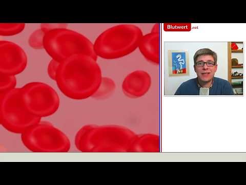Kleines Blutbild - Blutwerte einfach erklärt
