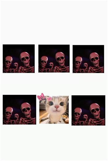 Understanding Key Biology Concepts in Simple Terms