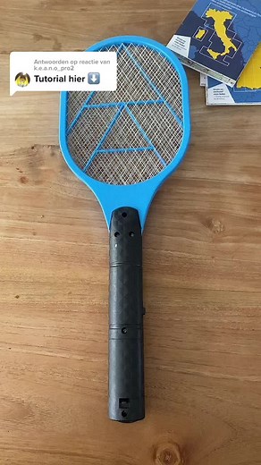 Electric Insect Swatter: How It Works and Assembly Guide