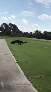 1.4M views · 5.5K reactions | HE'S A MONSTER: MacDill Air Force Base...