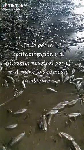 Videos de Pepito Lopez (@javi_montoya.08) con “sonido original - Pepito Lopez”