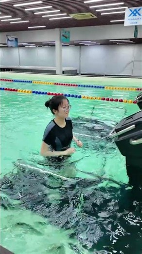 Knee Pain? Dive into Water Relief - Home Exercise Wonders